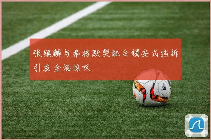 张镇麟与弗格默契配合锡安式挡拆引发全场惊叹