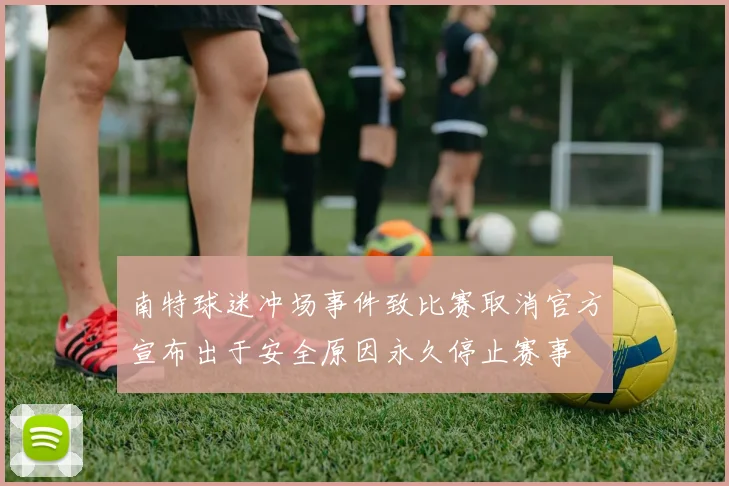 南特球迷冲场事件致比赛取消官方宣布出于安全原因永久停止赛事